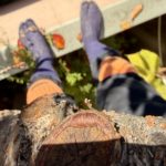 嘘のない仕事のつくり方